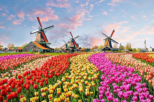 Holland